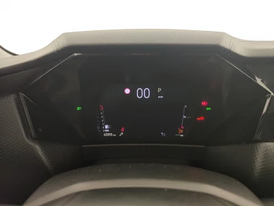 DS 4