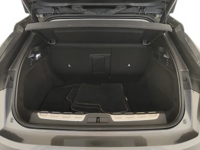 DS 4