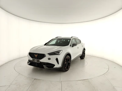 Cupra Formentor 2.0 tdi 4drive 150cv dsg